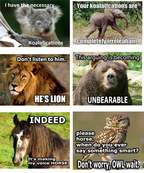 Animal humor at it's best